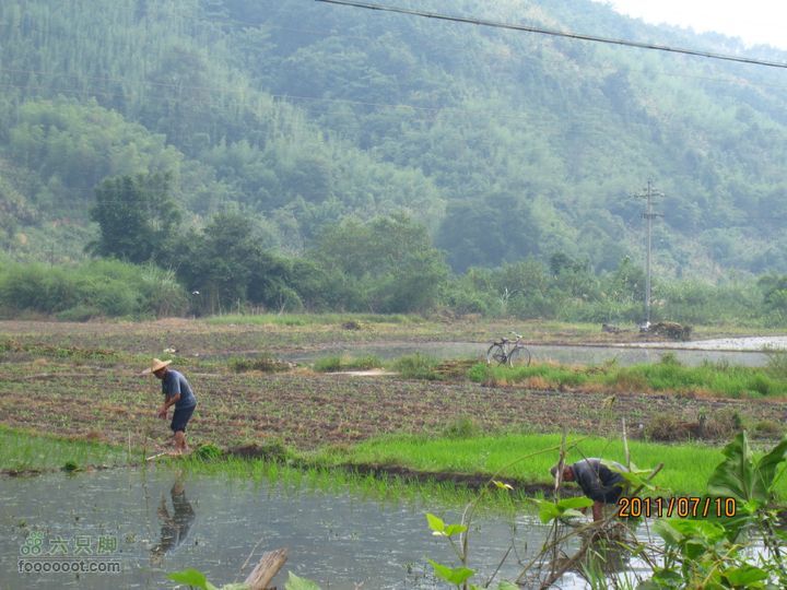 堆積坑村 堆積坑村