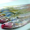 長江四魚 長江四魚
