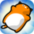 三隻貓 三隻貓
