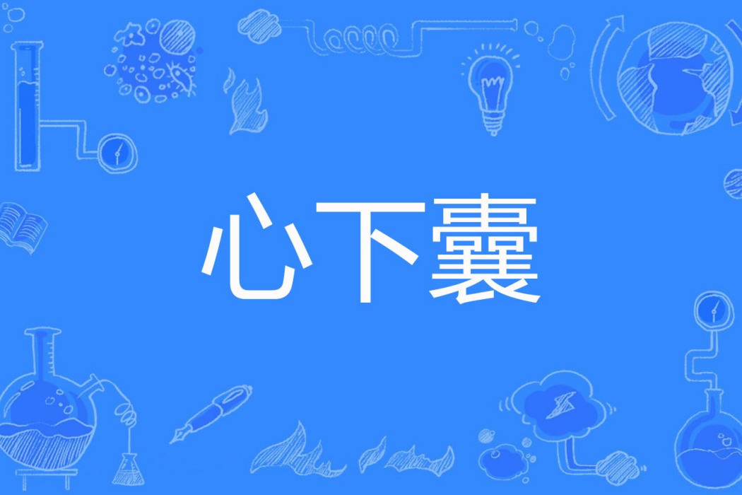 心下囊