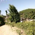上龍井村(中國西南地區:施甸縣老麥鄉下轄村) 上龍井村(中國西南地區:施甸縣老麥鄉下轄村)