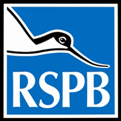 英國皇家鳥類保護協會