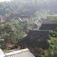 小曼咪村 小曼咪村