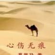 心傷無痕 心傷無痕