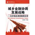 城鄉金融協調發展戰略：北京地區典型案例分析