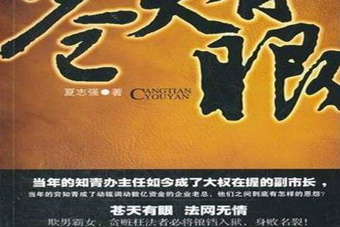 蒼天有眼(2012年新星出版社出版的圖書) 蒼天有眼(2012年新星出版社出版的圖書)