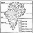 地域分異
