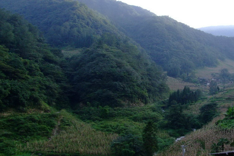 正溝 正溝