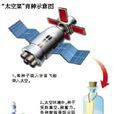 輻射育種 輻射育種