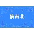貓南北 貓南北