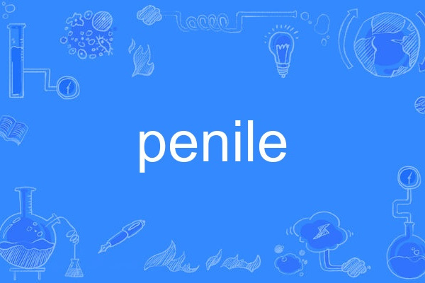penile penile