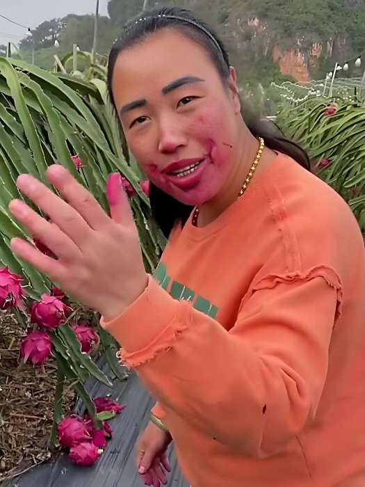 梅姐果果 梅姐果果