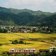 下涌村 下涌村