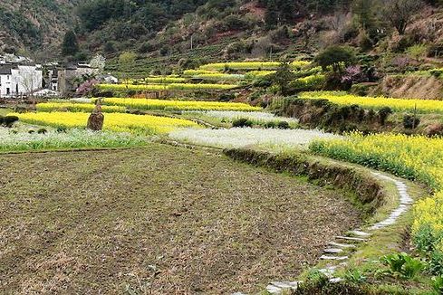 廬坑古道 廬坑古道