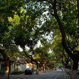 寧海路(南京市寧海路) 寧海路(南京市寧海路)