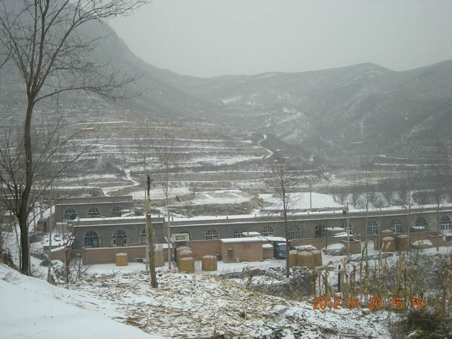 張柱村