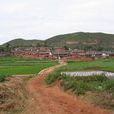 子午村 子午村