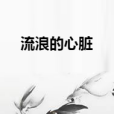 流浪的心臟 流浪的心臟