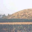 十五里園鎮 十五里園鎮