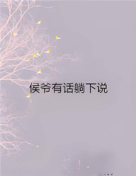侯爺有話躺下說