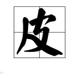 皮姓 皮姓