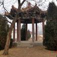 劉伶古台 劉伶古台