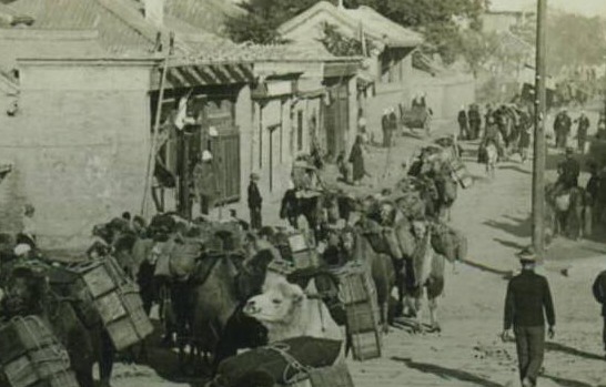 1905年東交民巷駱駝運輸隊