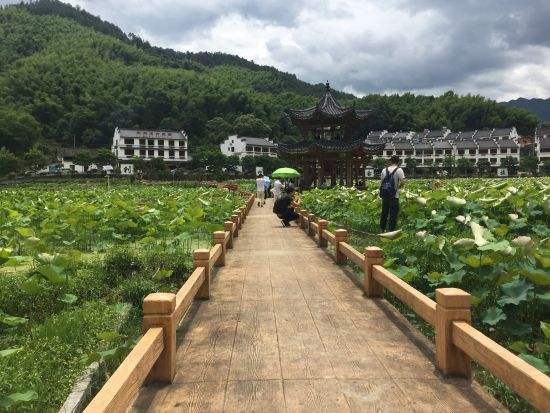 利山村(檢槽村民委員會利山自然村) 利山村(檢槽村民委員會利山自然村)