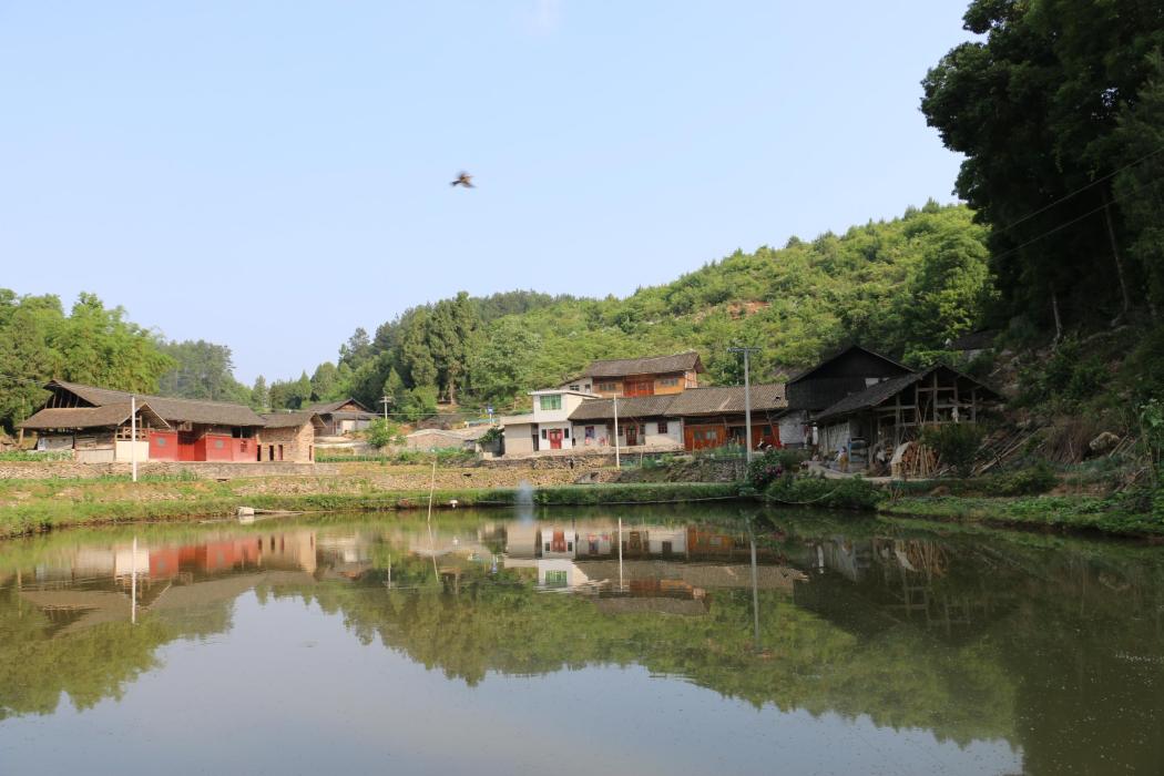 屯山村(來賓市北泗鄉下轄村) 屯山村(來賓市北泗鄉下轄村)