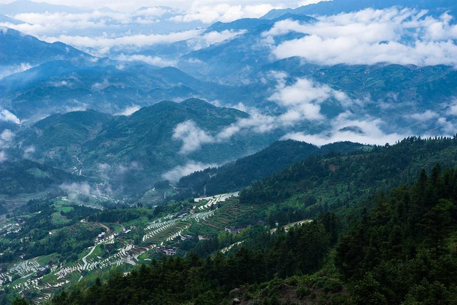 益壽村 益壽村