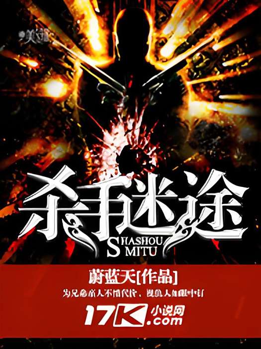 殺手迷途 殺手迷途