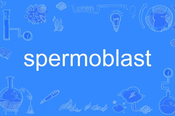 spermoblast spermoblast