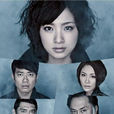 絕對零度(日本2010年上戶彩主演電視劇) 絕對零度(日本2010年上戶彩主演電視劇)