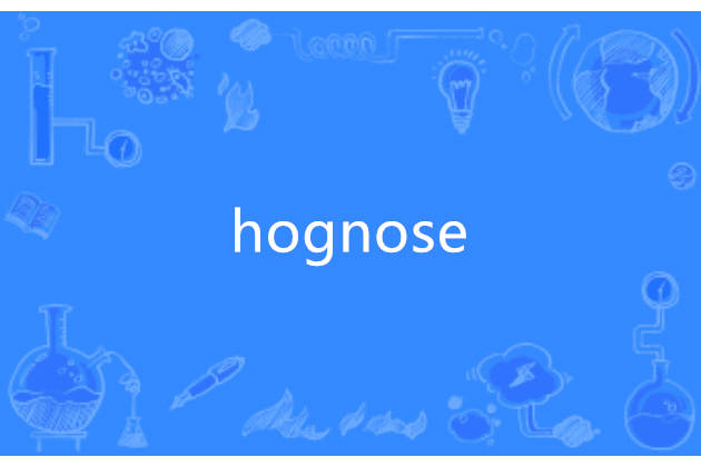 hognose hognose