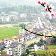 桃源鎮(江蘇省蘇州市吳江區桃源鎮) 桃源鎮(江蘇省蘇州市吳江區桃源鎮)