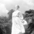 李若水(北宋官吏)
