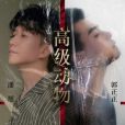 高級動物(潘旭/郭正正演唱的歌曲) 高級動物(潘旭/郭正正演唱的歌曲)