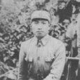 楊文忠(湖北孝感烈士) 楊文忠(湖北孝感烈士)