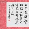 兵亂後雜詩 兵亂後雜詩