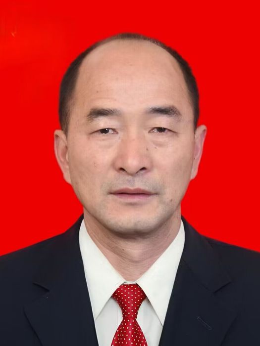 王雪峰(浙江省金華市武義縣桃溪鎮副鎮長,項灣村黨支部書記、村委會主任) 王雪峰(浙江省金華市武義縣桃溪鎮副鎮長,項灣村黨支部書記、村委會主任)