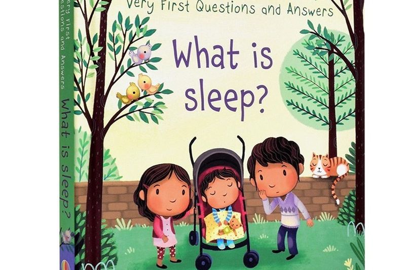Usborne Lift-the-flap Questions and Answers: What is Sleep? Usborne Lift-the-flap Questions and Answers: What is Sleep?