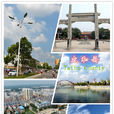 太和縣(安徽省阜陽市下轄縣)