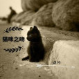 貓咪之吻 貓咪之吻