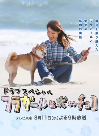 南波瑠