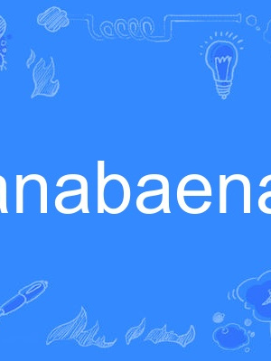 anabaena anabaena