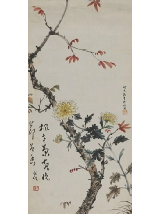 菊花楓葉 菊花楓葉