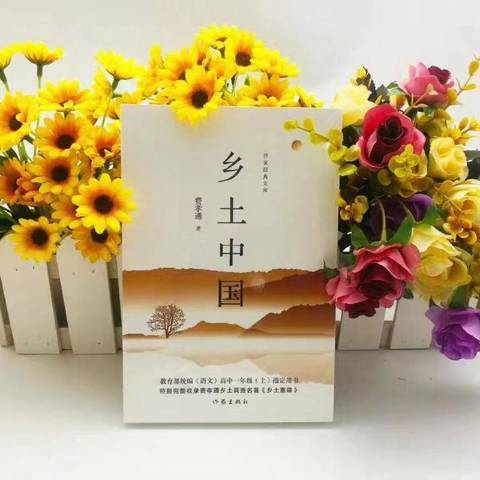 鄉土中國(2019年作家出版社出版的圖書) 鄉土中國(2019年作家出版社出版的圖書)