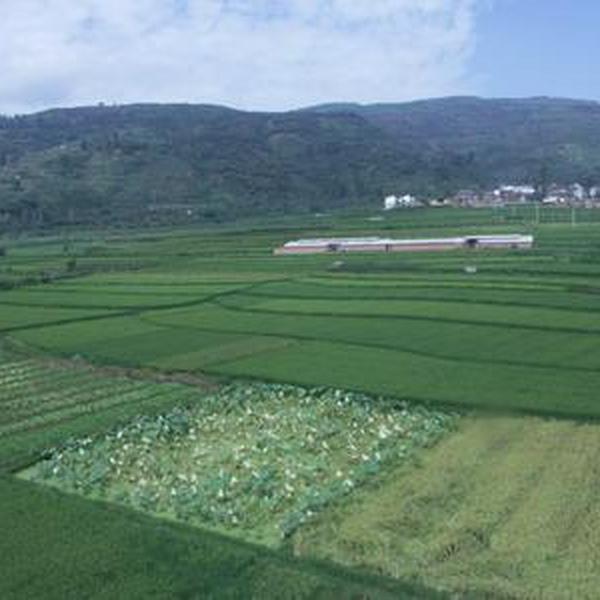 上栗者村 上栗者村