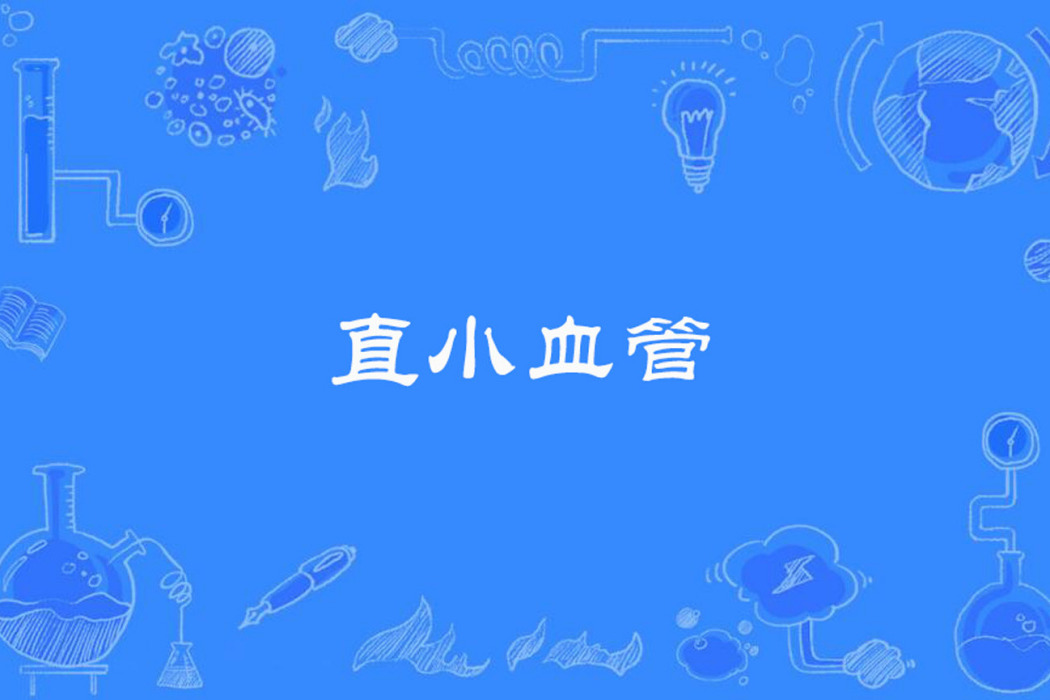直小血管 直小血管