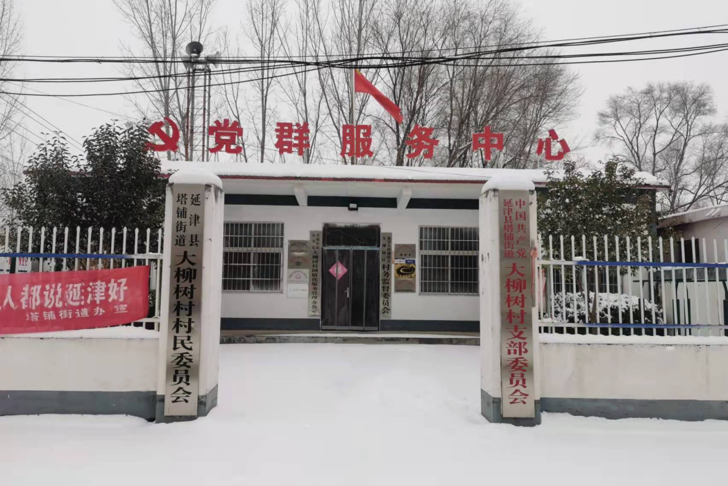 大柳樹村(河南延津縣石婆固鎮下轄村) 大柳樹村(河南延津縣石婆固鎮下轄村)